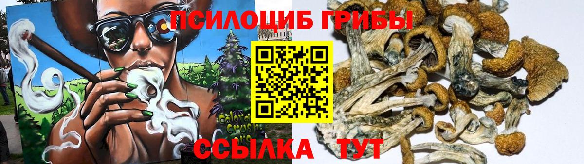 Галлюциногенные грибы Magic Shrooms  Вход с VPN  Минеральные Воды 