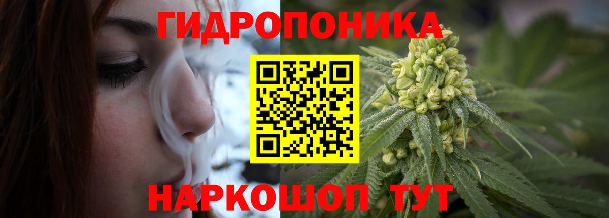 Каннабис планчик Минеральные Воды